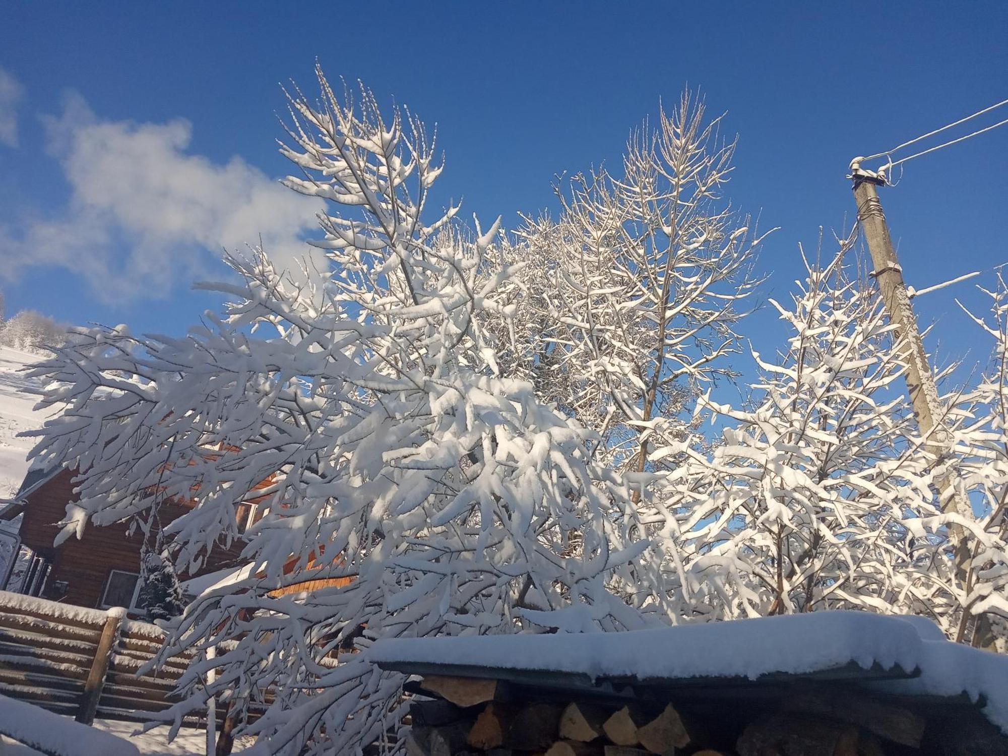 Hotel У Олега Verkhne-Studenyy Exteriér fotografie